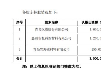 出资1650万元,汉缆股份拟设合资公司推进燃料电池技术研发及产业化